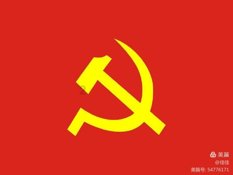 五彩鹦鹉救援